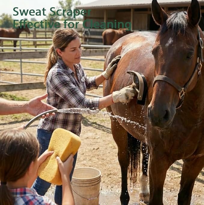 Organizer bag for horse grooming brush set