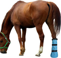 Horse hoof care boot front view