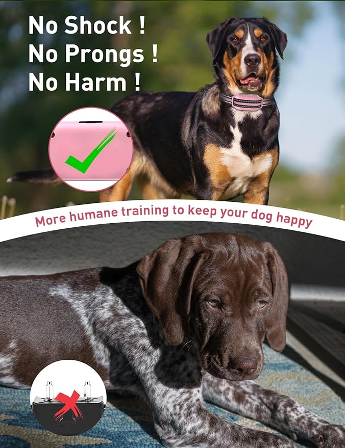 humane dog training remote collar with beep vibration