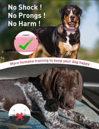 humane dog training remote collar with beep vibration