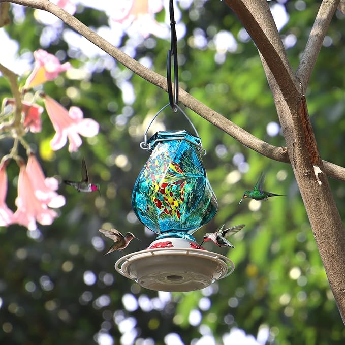 Hummingbird Feeder with 5 Feeding Ports and Ant Moat