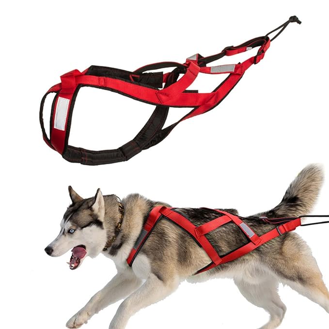 Husky pulling harness with chest support and traction rope
