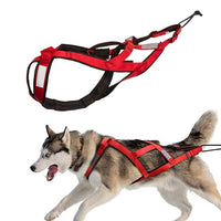 Husky pulling harness with chest support and traction rope