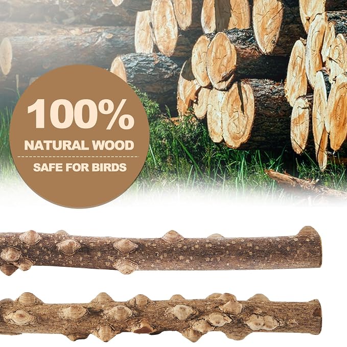 Indoor Bird Cage Perch Set with Natural Wood Branch Design