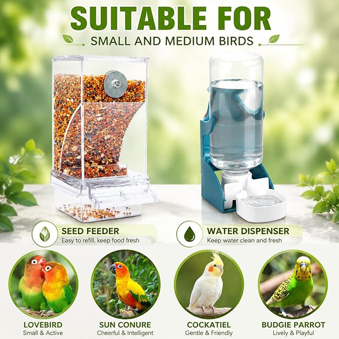 indoor bird feeding set with easy-to-clean acrylic containers