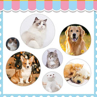indoor cat grooming brush self cleaning slicker design