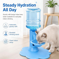 Indoor Cat Hydration Accessory With Automatic Water Dispensing Design