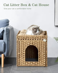 Indoor cat litter cabinet with natural finish