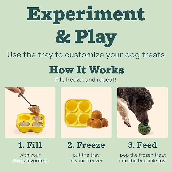 Dog ball toy for regular indoor pet activity