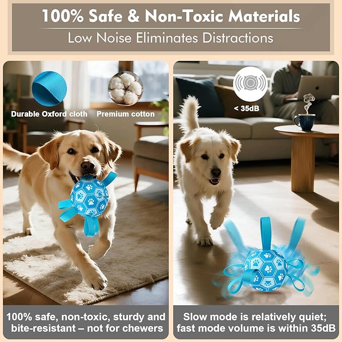 indoor dog play soccer ball toy with automatic movement