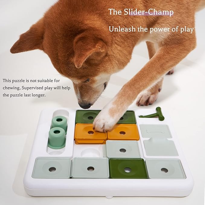 indoor dog toy for mental stimulation and problem solving
