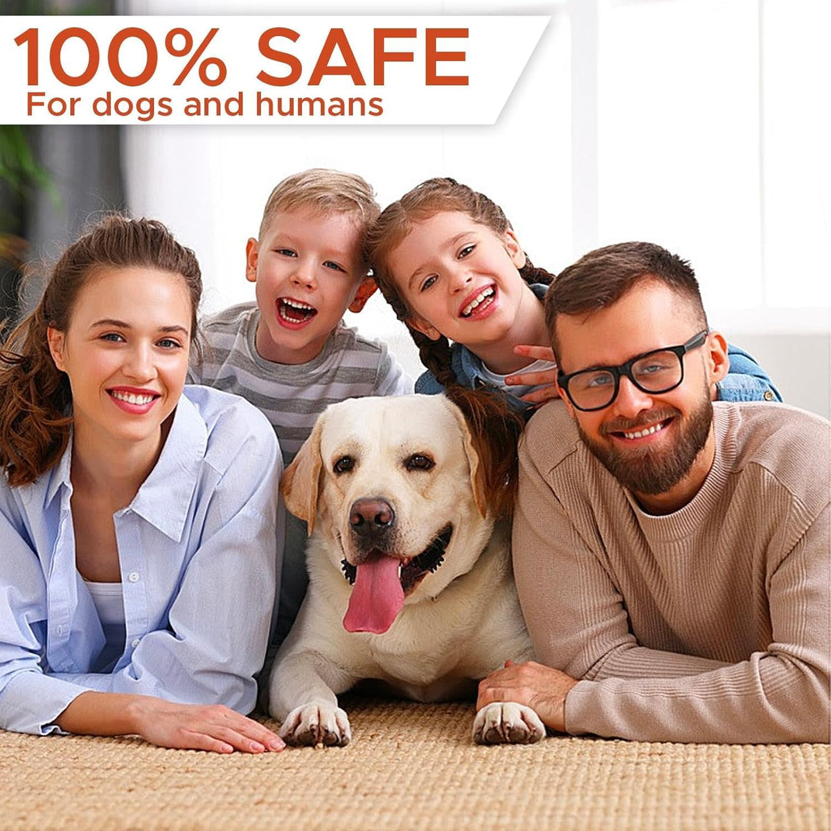 Indoor and Outdoor Dog Training Tool with Ultrasonic Function