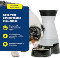 Pet water dispenser for regular indoor water use