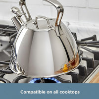 Stainless steel tea kettle for induction and compatible stovetops