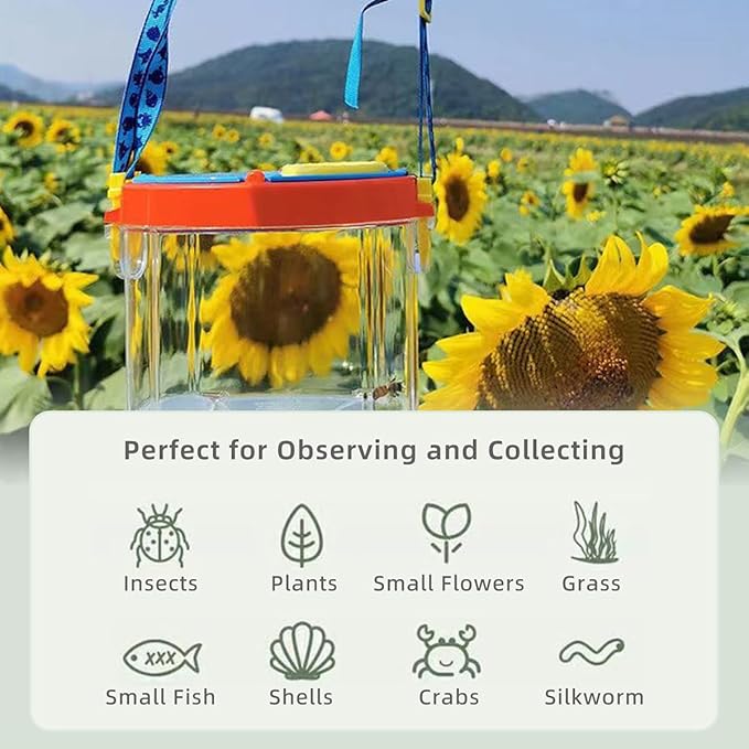 Insect Observation Container for Outdoor Nature Exploration, Yellow with Secure Lid