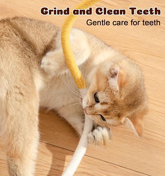 Interactive Cat Rope Toy for Kittens and Cats