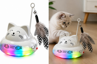 Interactive Cat Toy with Feather and Bell Attachment