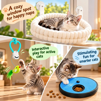 Indoor cat enrichment accessories designed for playful kittens and adult cats