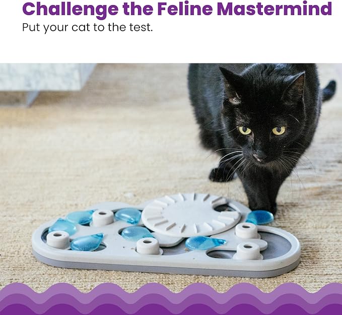 Interactive Cat Treat Feeder with Rotating Turntable Design