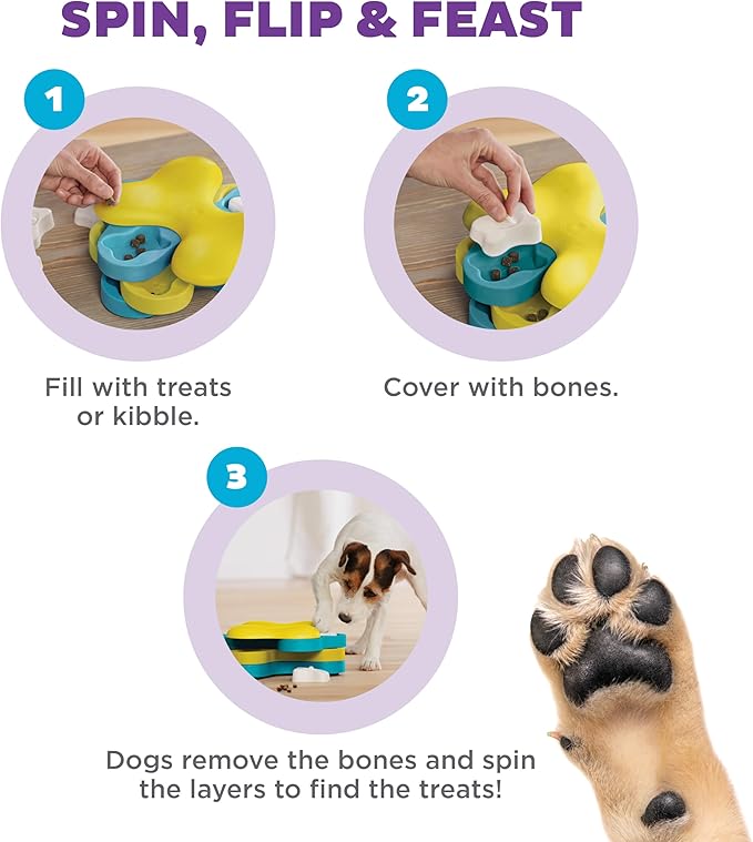 Interactive dog activity toy for daily play