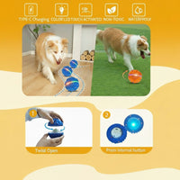 Interactive Dog Ball Toy with Vibrating Movement
