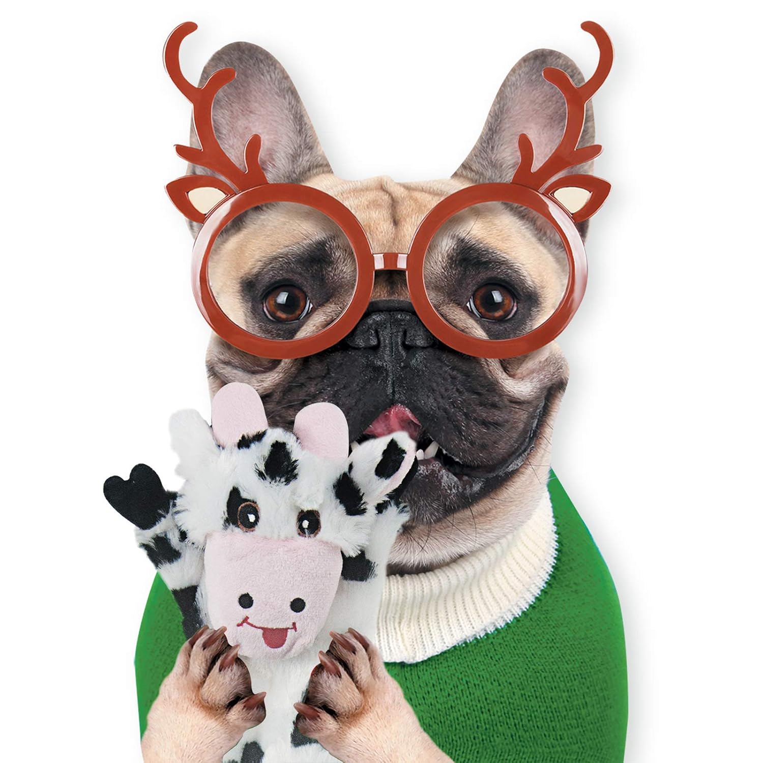 5-pack interactive plush dog toys with squeak and crinkle sound features