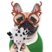 5-pack interactive plush dog toys with squeak and crinkle sound features