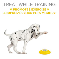 Interactive Dog Treat Dispenser with Button Activated Design