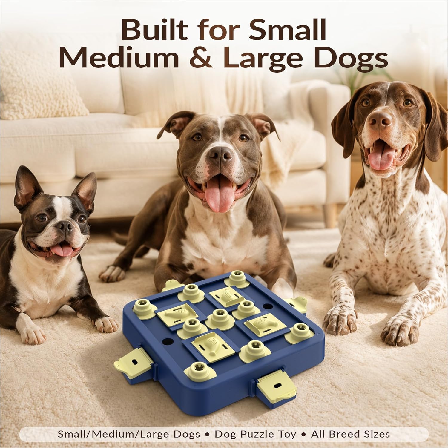 Interactive dog toy with compartments for treats during daily play
