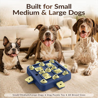 Interactive dog toy with compartments for treats during daily play
