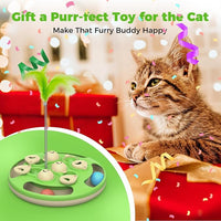 Interactive Kitten Play Toy with Balls and Feather