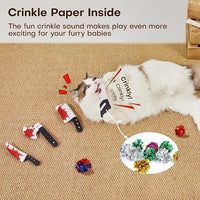 Interactive Kitten Toys for Exercise and Play