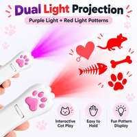 Interactive LED cat toy with handheld light projection function