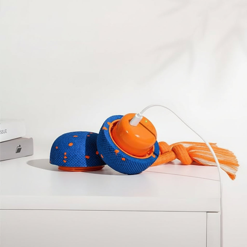Interactive Pet Toy Ball Designed For Dogs