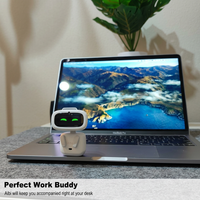 Interactive robot with voice command functions