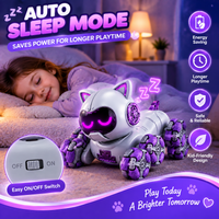 Interactive robot cat toy for kids