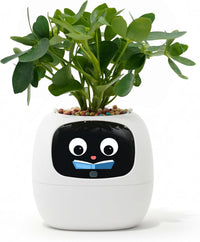Interactive ivory smart planter with animated digital expression