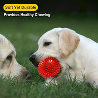 interactive squeaky dog balls for small medium large dogs