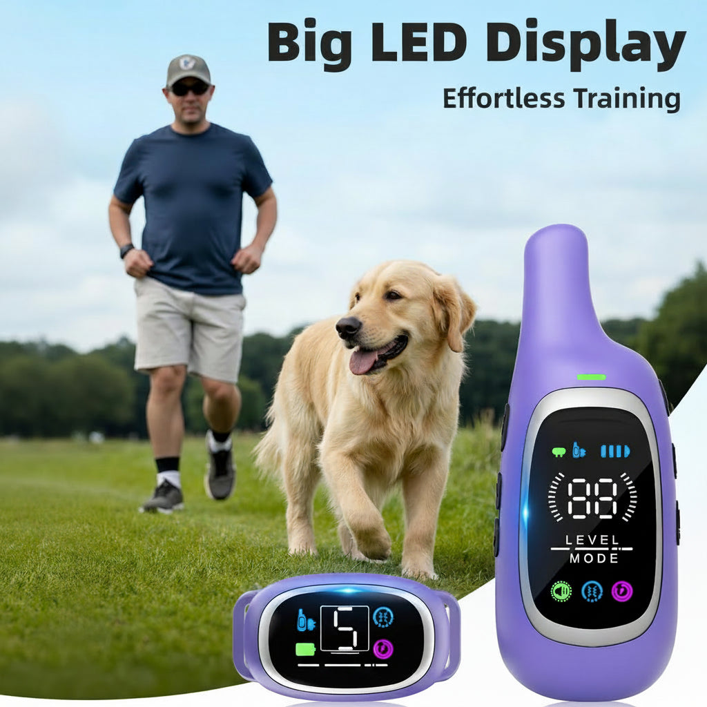 IP67 Waterproof Dog Collar Receiver For Outdoor Training
