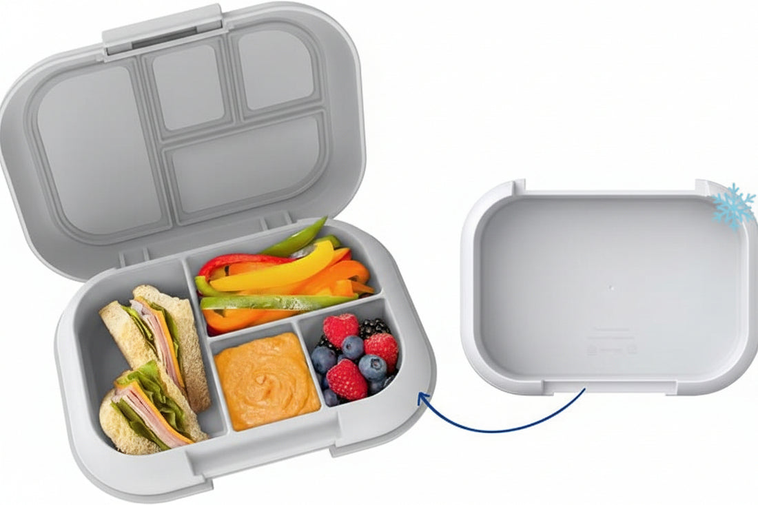 Kids four compartment lunch box for organized meals
