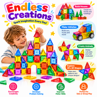 Kids' magnetic window blocks showing the selected product variation.