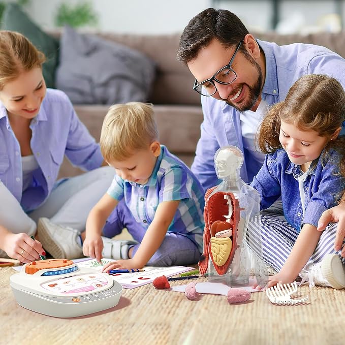 Kids science anatomy learning model for classroom and home activities