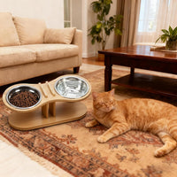 Elevated Feeding Bowl Station for Kittens and Cats