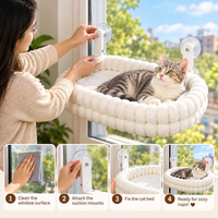 Kitten batting at a hanging bird teaser during supervised interactive play