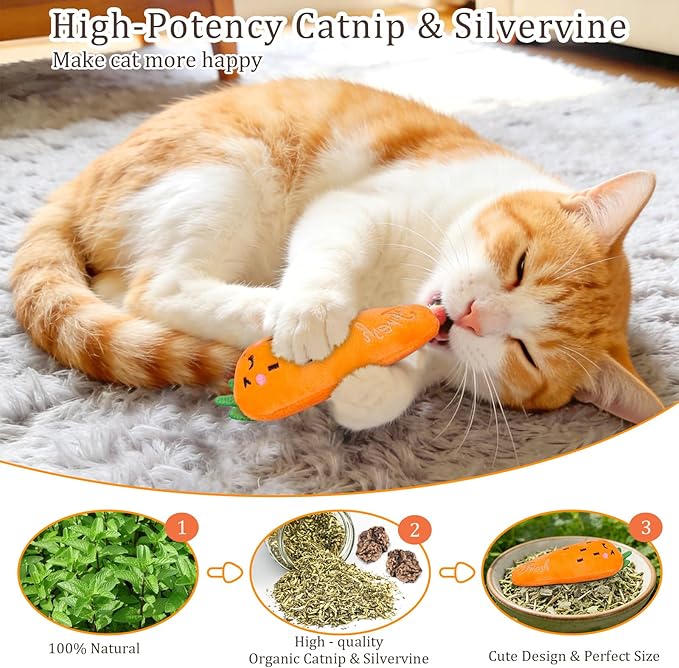 Kitten Play Toy Set for Exercise and Fun