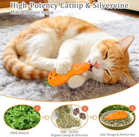 Kitten Play Toy Set for Exercise and Fun