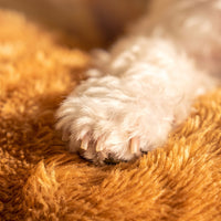 Spacious pet nest bed for comfortable sleeping and resting