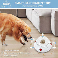 Laser Teaser Cat Toy for Interactive Indoor Activities