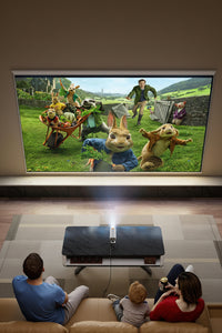 Portable LCD projector arranged for indoor movie and video viewing