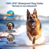 LED night visibility dog collar for outdoor walks